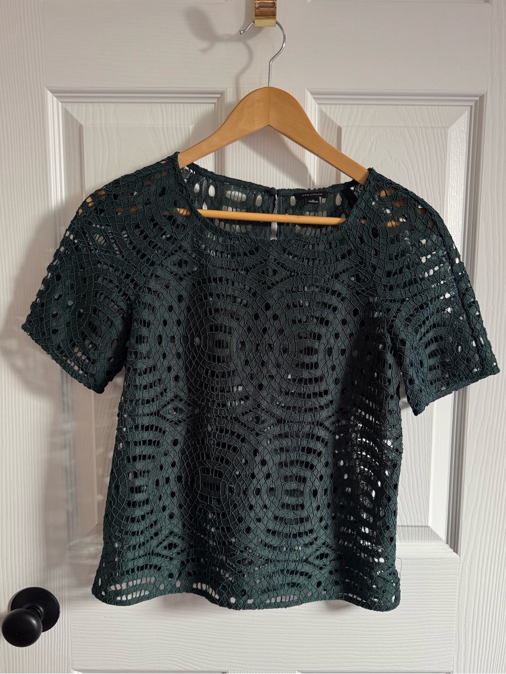 🤎 Ann Taylor 🤎 Emerald Green Lace Short Sleeve Top (S)